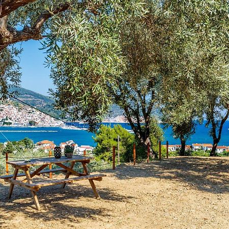 Olive Grove Apartment Скопелос Экстерьер фото