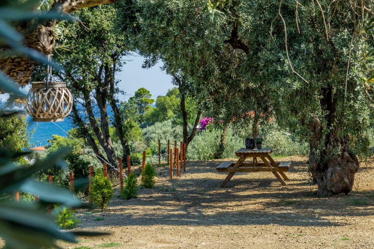 Olive Grove Apartment Скопелос Экстерьер фото