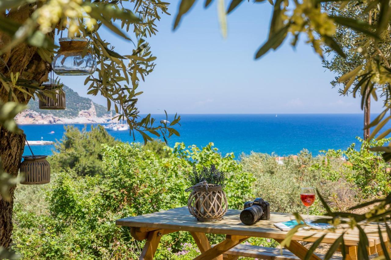 Olive Grove Apartment Скопелос Экстерьер фото