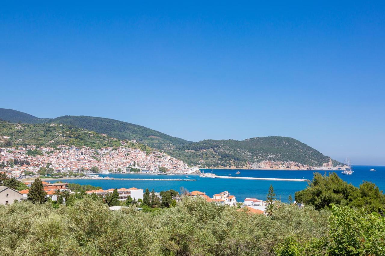 Olive Grove Apartment Скопелос Экстерьер фото